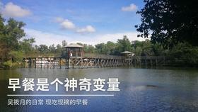 清理脏乱的宫殿