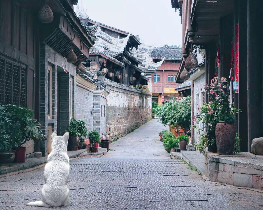 为什么再加上三个就是最小的质数？游戏画面